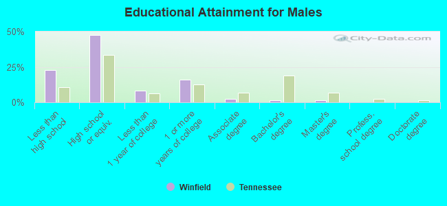 Educational Attainment for Males