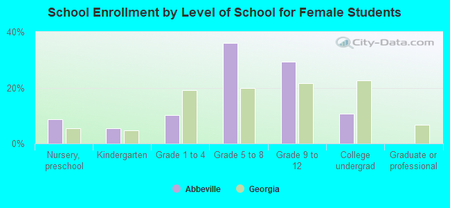 School Enrollment by Level of School for Female Students