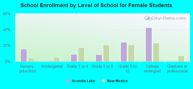 School Enrollment by Level of School for Female Students