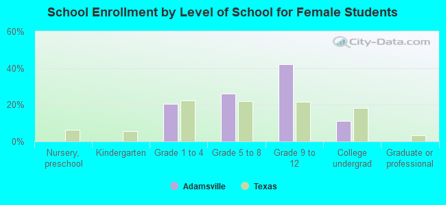 School Enrollment by Level of School for Female Students