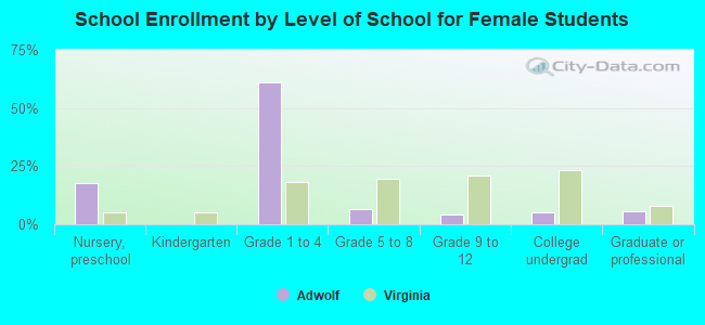 School Enrollment by Level of School for Female Students