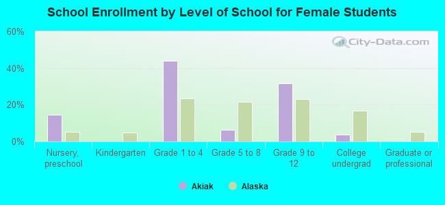 School Enrollment by Level of School for Female Students