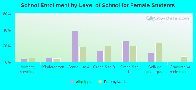 School Enrollment by Level of School for Female Students