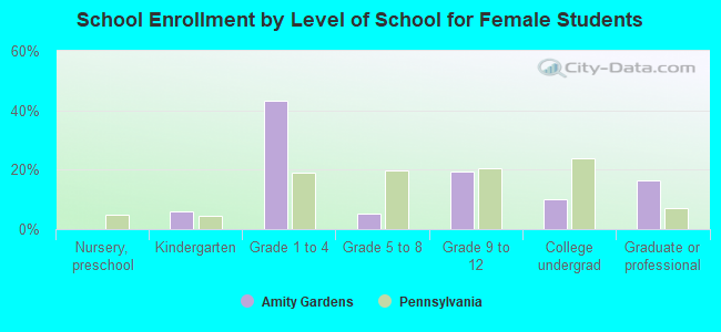 School Enrollment by Level of School for Female Students