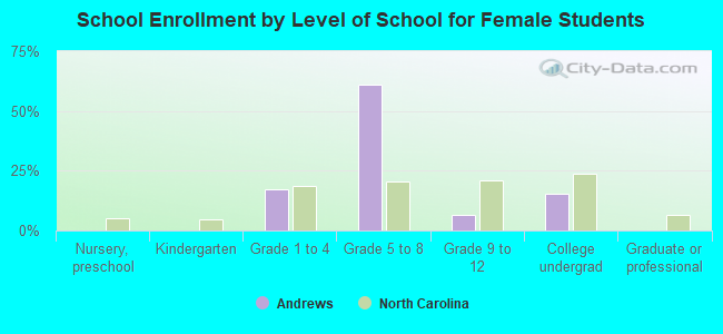 School Enrollment by Level of School for Female Students