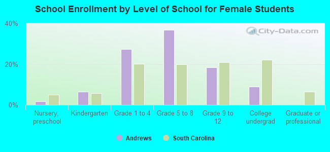 School Enrollment by Level of School for Female Students