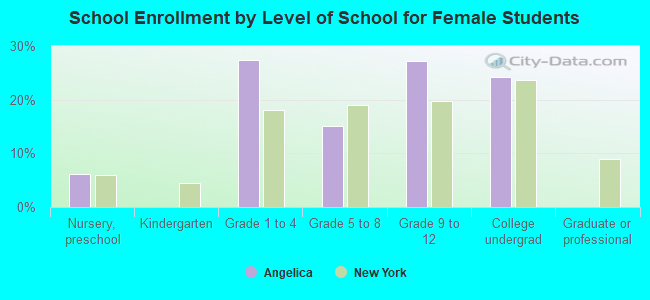 School Enrollment by Level of School for Female Students