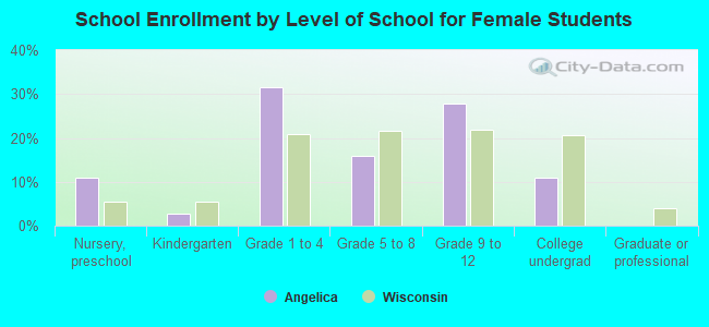 School Enrollment by Level of School for Female Students