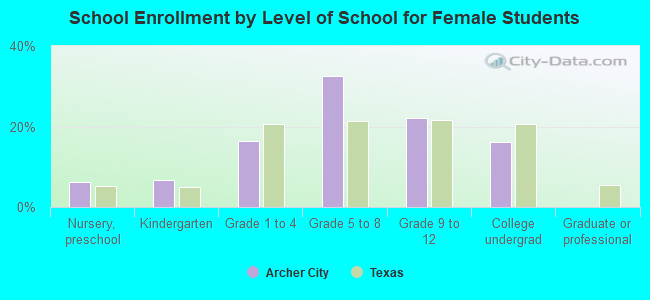 School Enrollment by Level of School for Female Students