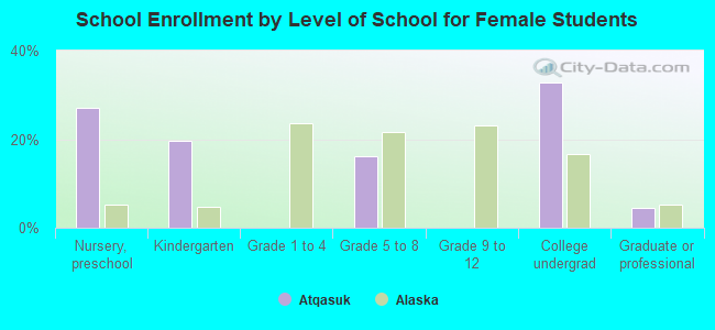 School Enrollment by Level of School for Female Students