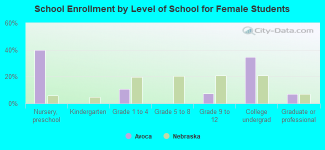 School Enrollment by Level of School for Female Students