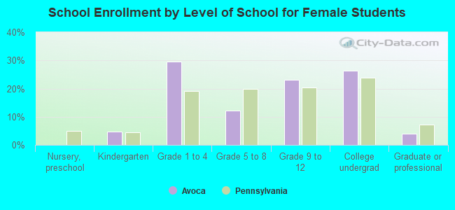 School Enrollment by Level of School for Female Students