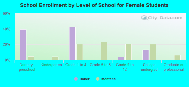 School Enrollment by Level of School for Female Students