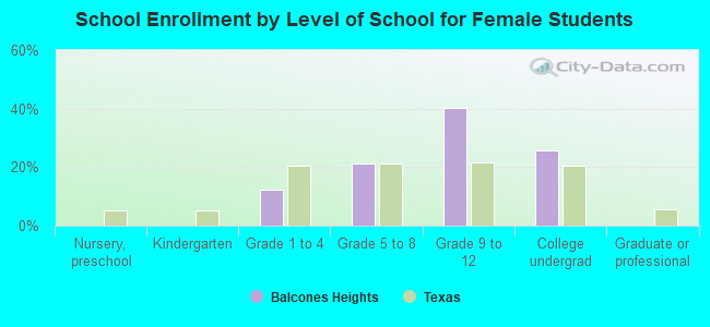 School Enrollment by Level of School for Female Students