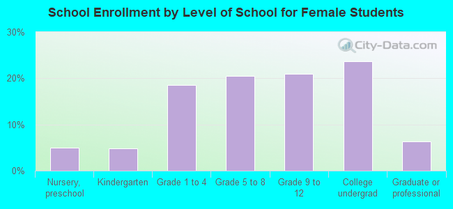 School Enrollment by Level of School for Female Students