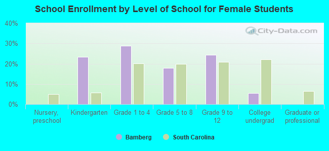 School Enrollment by Level of School for Female Students