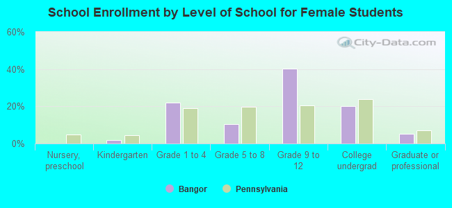 School Enrollment by Level of School for Female Students