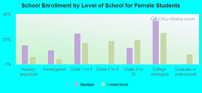 School Enrollment by Level of School for Female Students