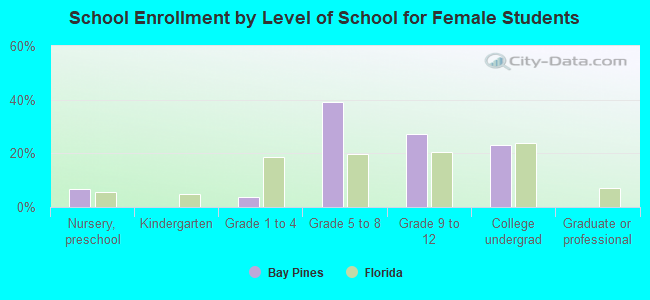 School Enrollment by Level of School for Female Students