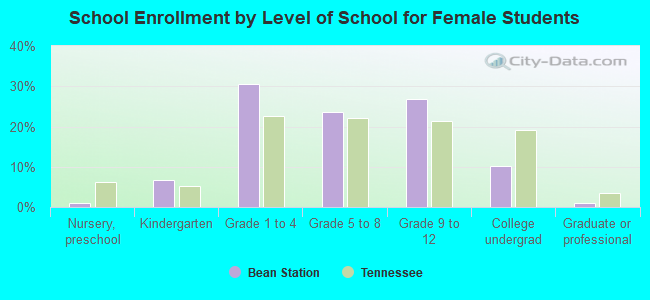 School Enrollment by Level of School for Female Students