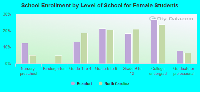 School Enrollment by Level of School for Female Students