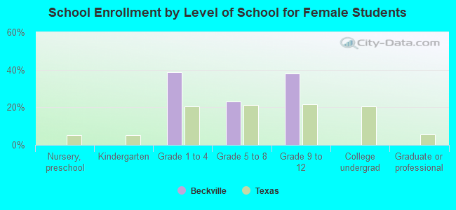 School Enrollment by Level of School for Female Students