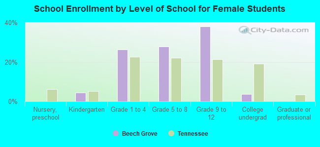 School Enrollment by Level of School for Female Students