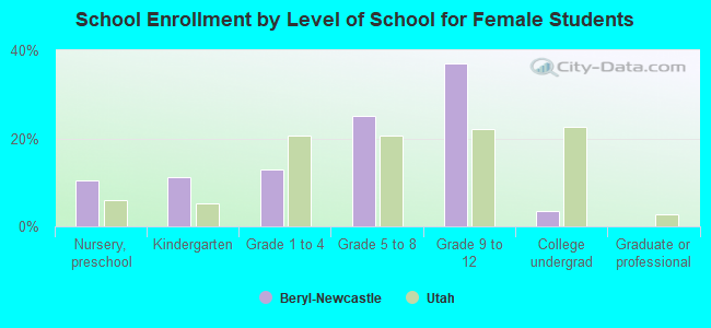 School Enrollment by Level of School for Female Students