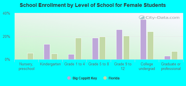 School Enrollment by Level of School for Female Students