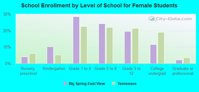 School Enrollment by Level of School for Female Students