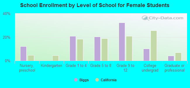 School Enrollment by Level of School for Female Students