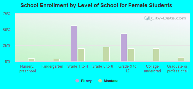 School Enrollment by Level of School for Female Students