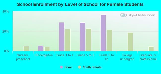 School Enrollment by Level of School for Female Students