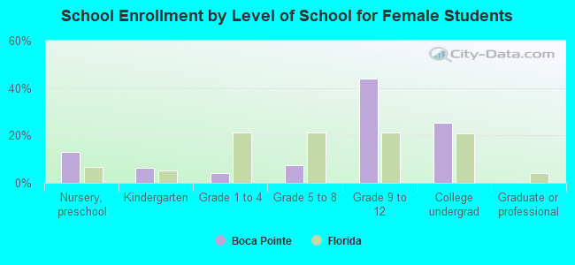 School Enrollment by Level of School for Female Students