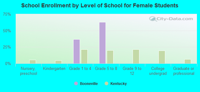 School Enrollment by Level of School for Female Students