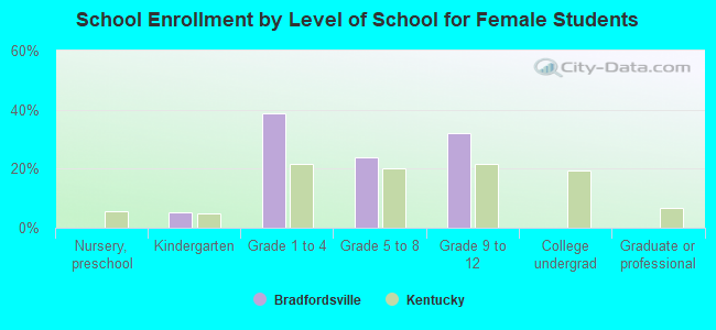 School Enrollment by Level of School for Female Students