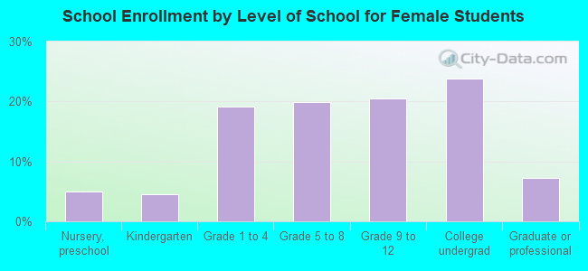 School Enrollment by Level of School for Female Students