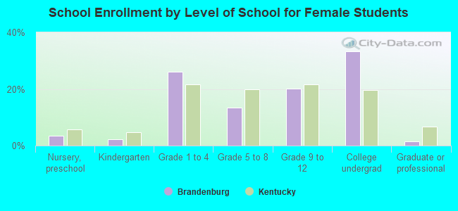 School Enrollment by Level of School for Female Students