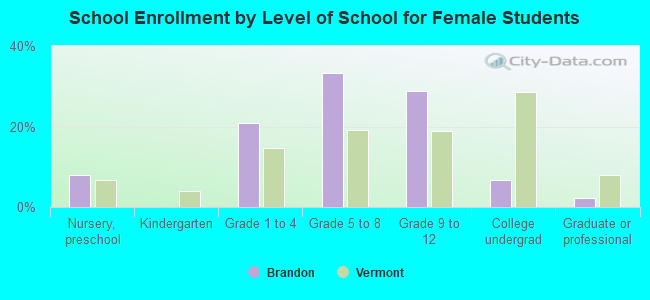 School Enrollment by Level of School for Female Students