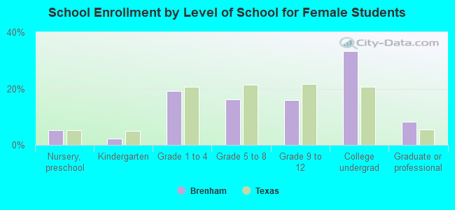 School Enrollment by Level of School for Female Students