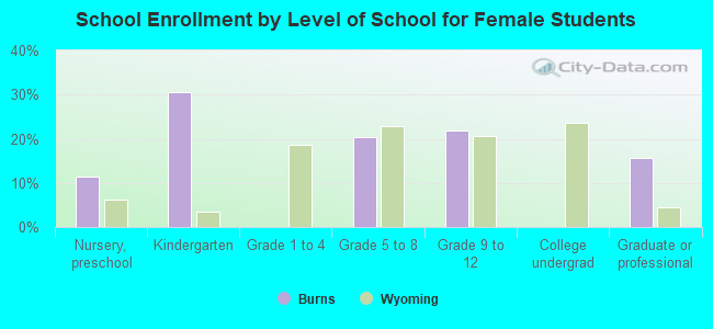 School Enrollment by Level of School for Female Students