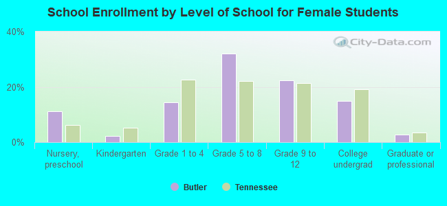 School Enrollment by Level of School for Female Students