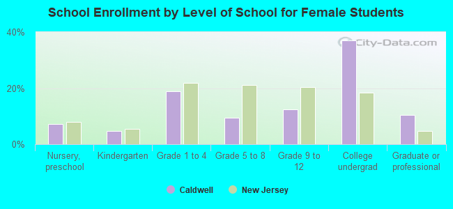 School Enrollment by Level of School for Female Students