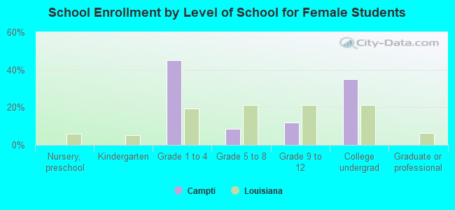 School Enrollment by Level of School for Female Students