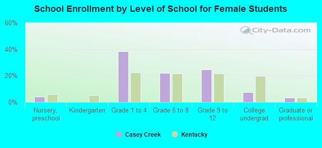 School Enrollment by Level of School for Female Students