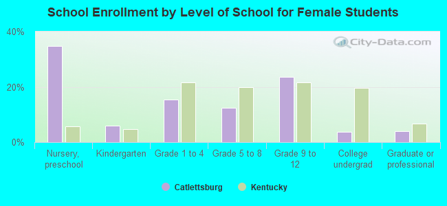 School Enrollment by Level of School for Female Students