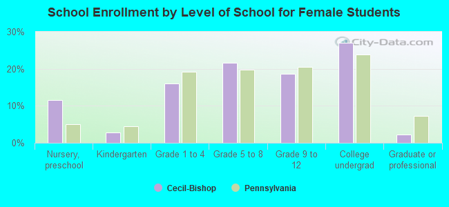 School Enrollment by Level of School for Female Students