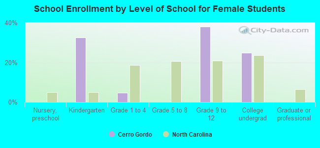 School Enrollment by Level of School for Female Students