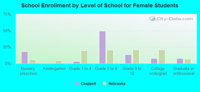 School Enrollment by Level of School for Female Students