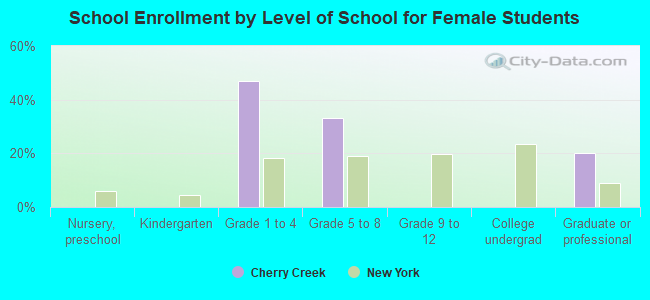 School Enrollment by Level of School for Female Students